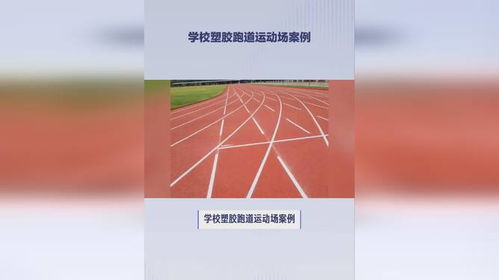 學(xué)校塑膠跑道運(yùn)動(dòng)場(chǎng)案例